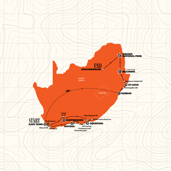 Cape Town to Kruger Safari