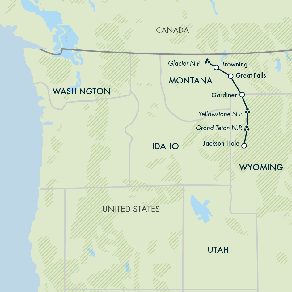 Yellowstone Walks & Wildlife