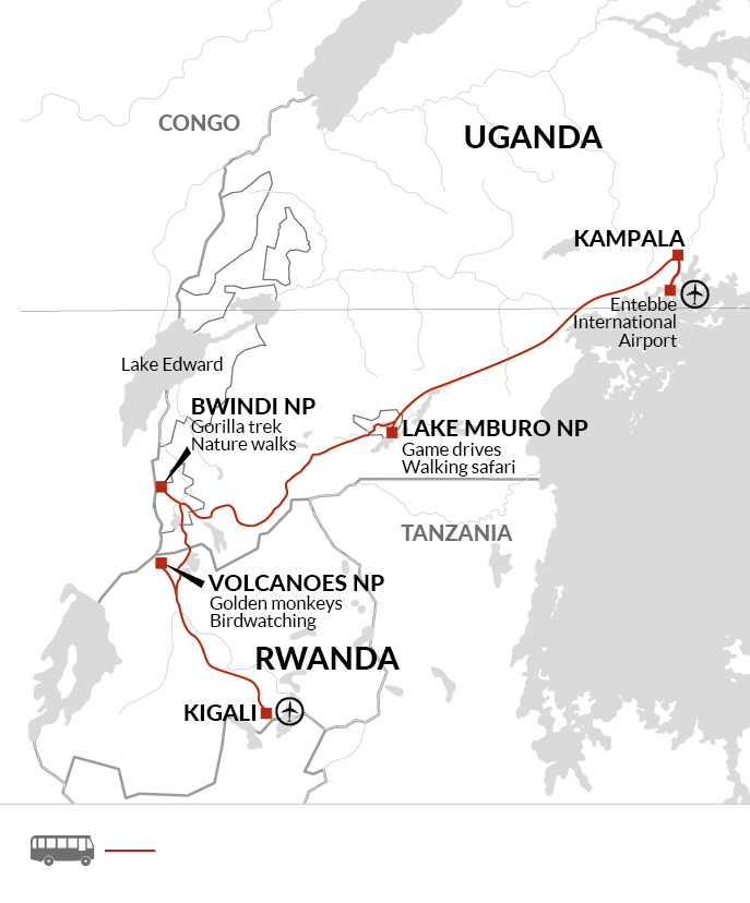 Uganda and Rwanda Gorilla Discovery